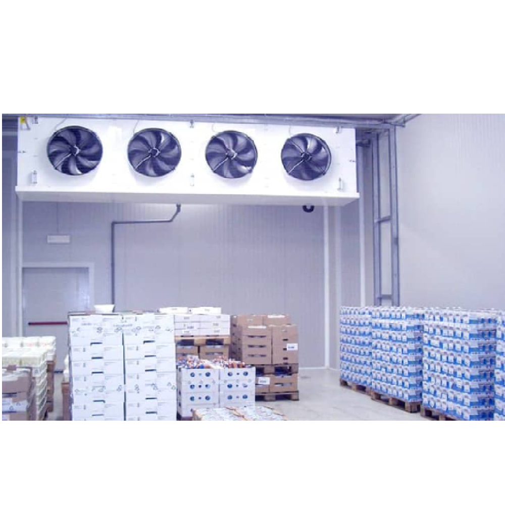 20 feet Portable Refer Container, storage