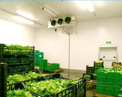 Fruits Cold Storage Room (4 T)