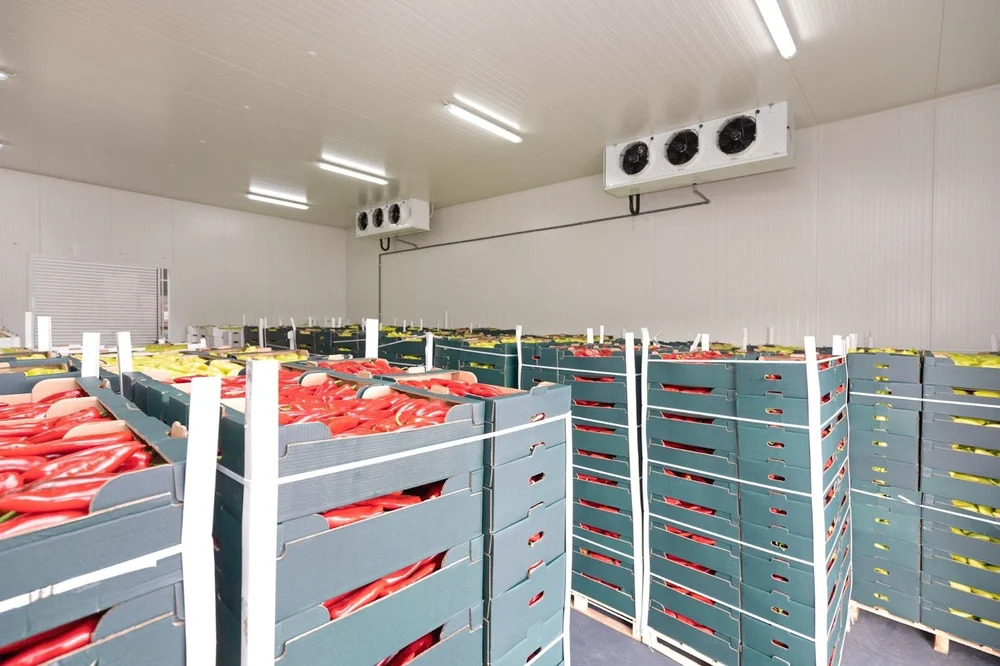 40 Reefer and Cold Storage Container